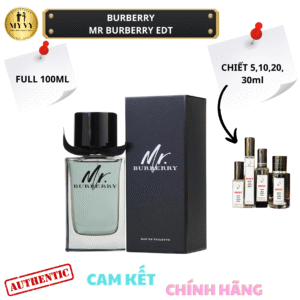 Mr Burberry EDT