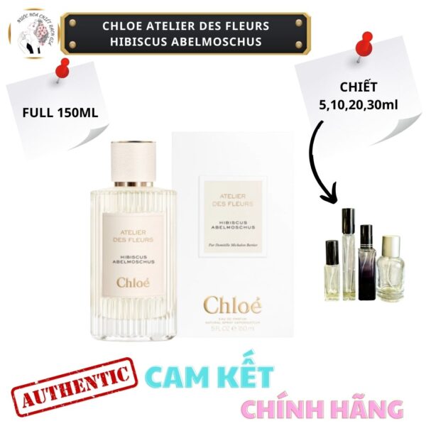 Chloe Atelier Des Fleurs Hibiscus Abelmoschus